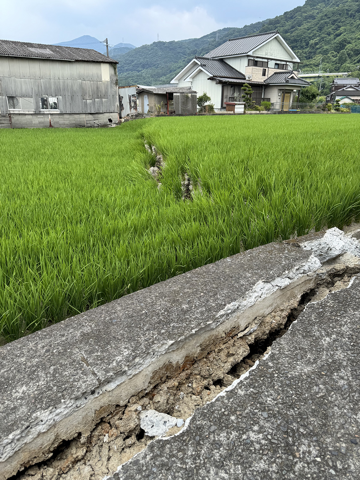 熊本地震による断層(八代市)1