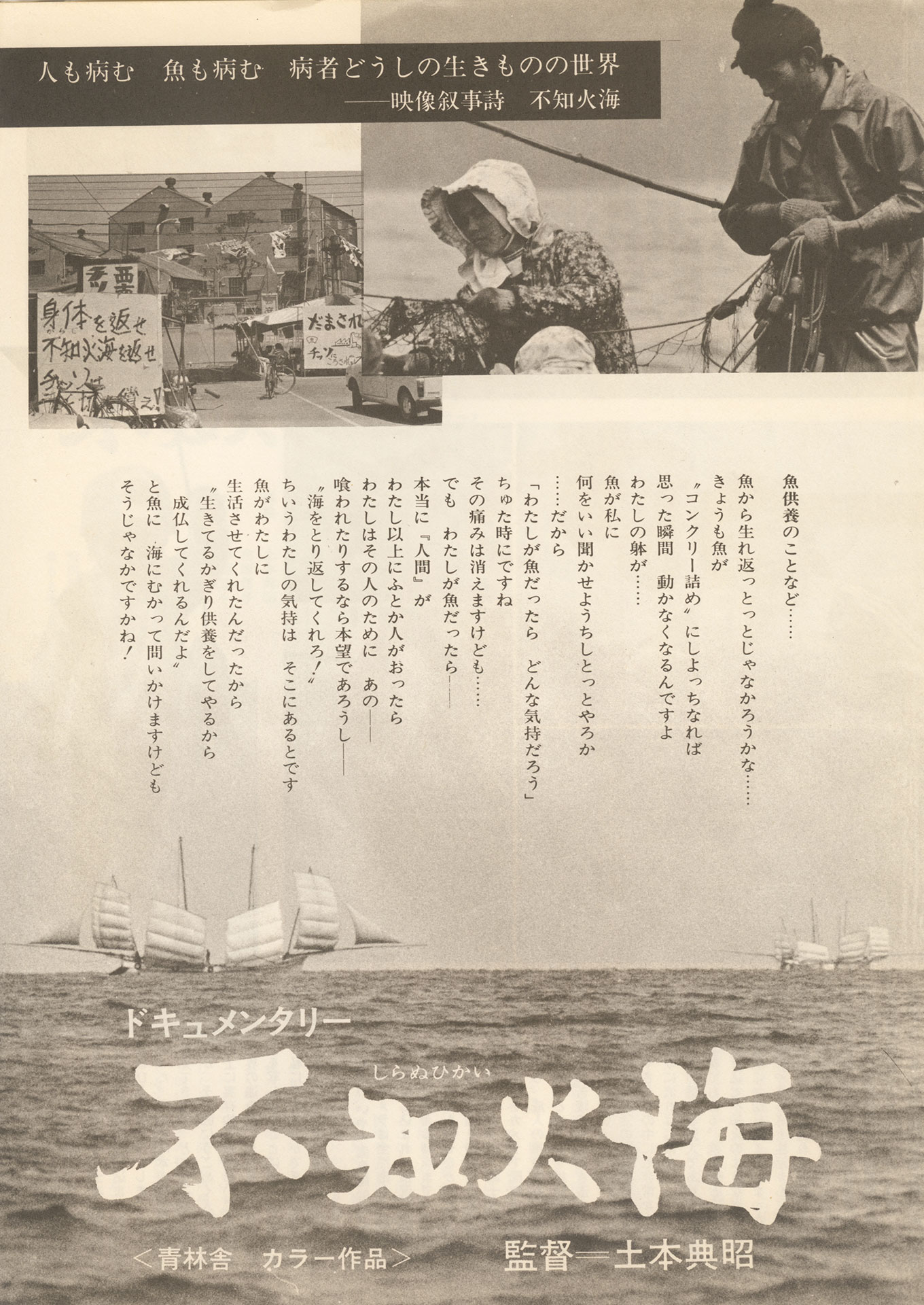 不知火海